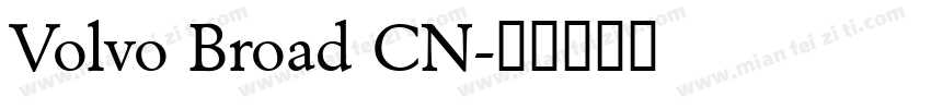 Volvo Broad CN字体转换